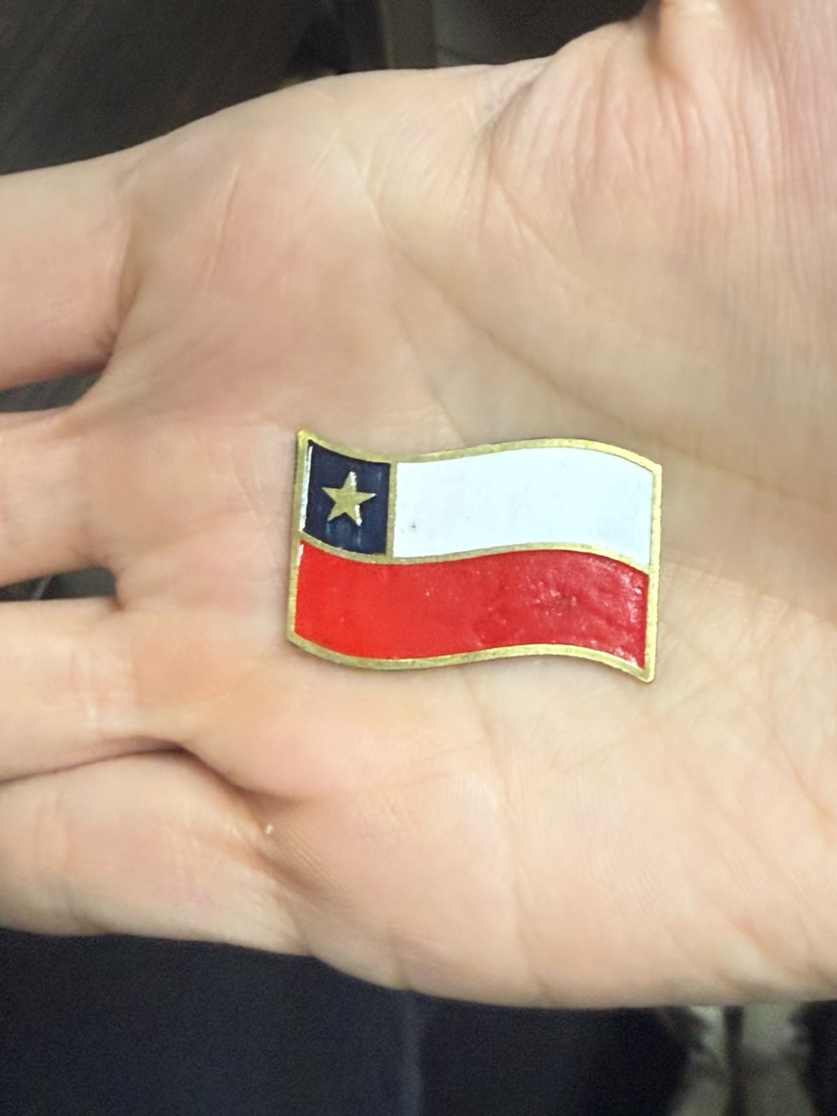 DIJE DE BRONCE PINTADO BANDERA DE CHILE